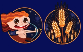 Совместимость Стрелец (женщина) - Дева (мужчина) | Совместимость Стрелец (женщина) - Дева (мужчина) |